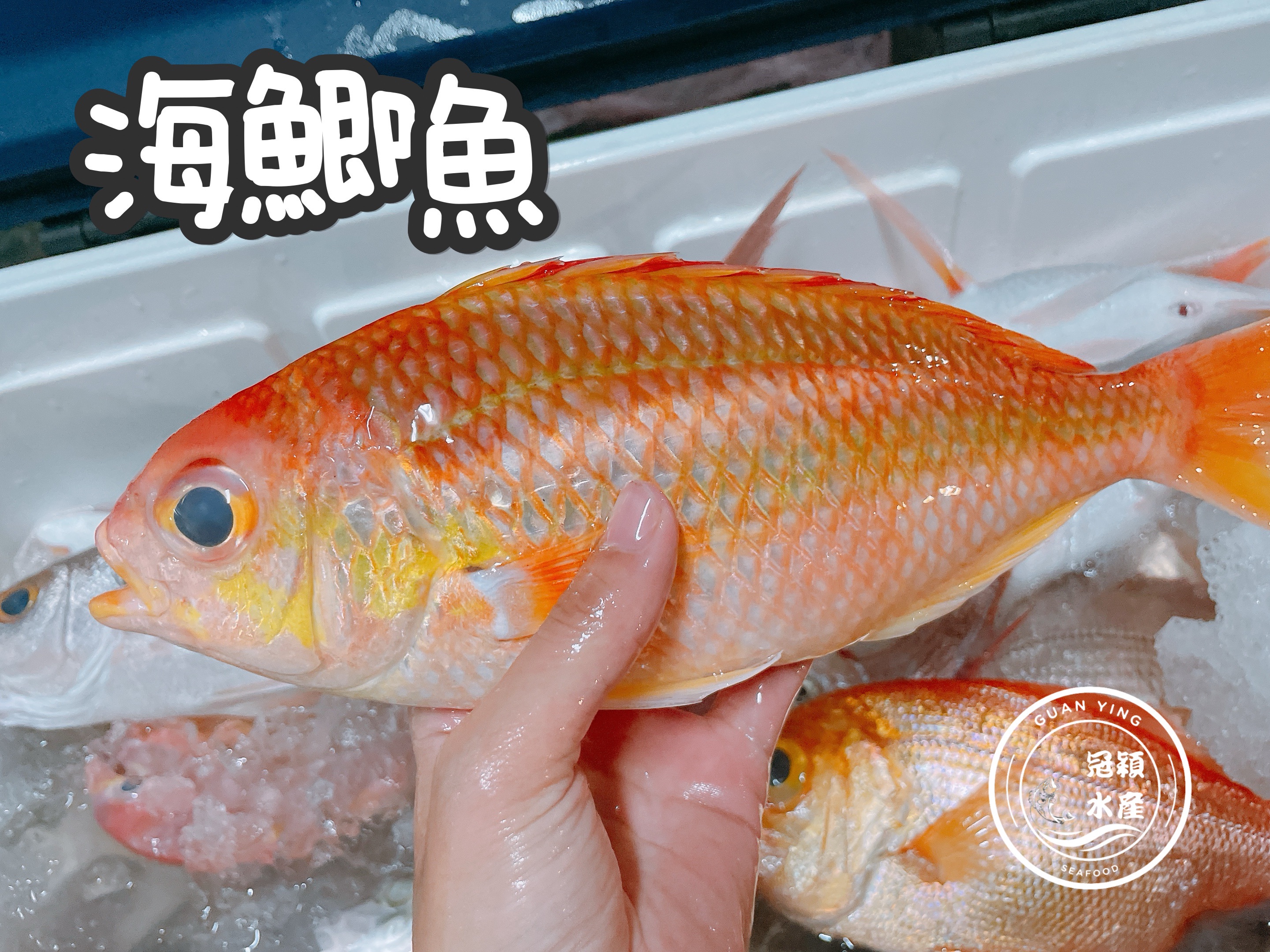 海鯽魚
