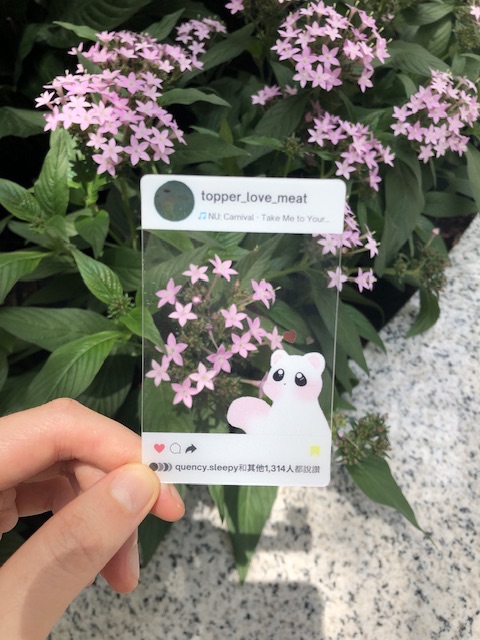 小托帕IG透卡