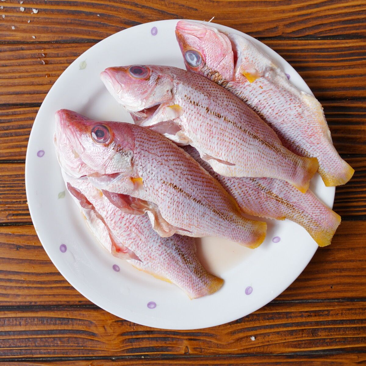 【當季到貨】澎湖野生漁獲（赤筆/黑喉/肉魚）