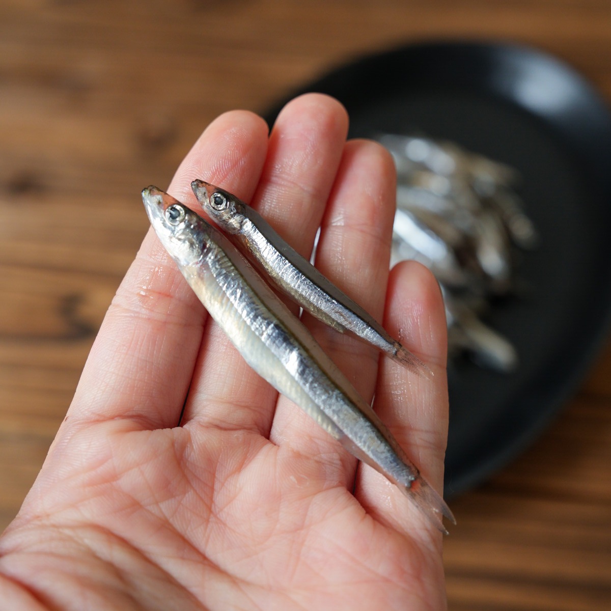 【這個月的超新鮮！】澎湖當季生丁香魚-營養補鈣