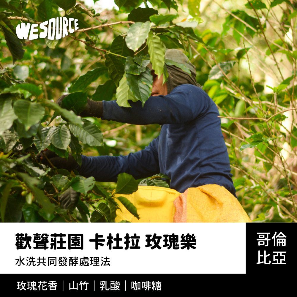 歡聲莊園 卡杜拉–玫瑰樂
