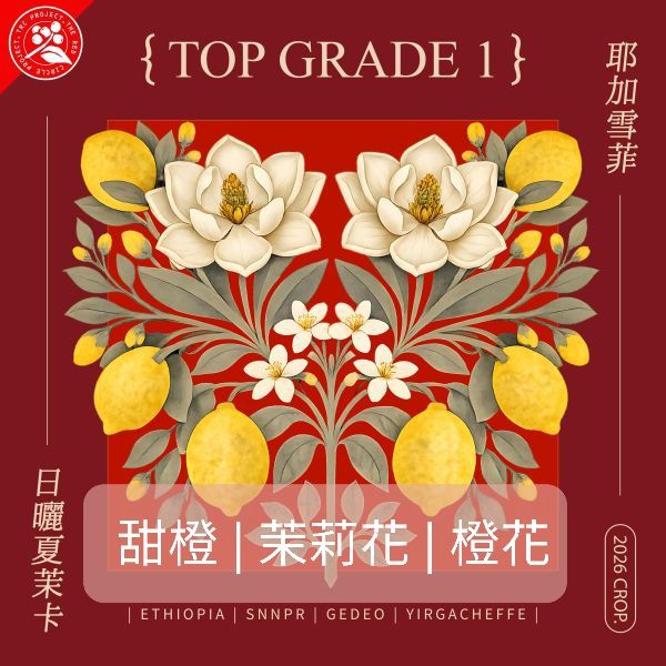 夏茉卡 （日曬 淺焙）