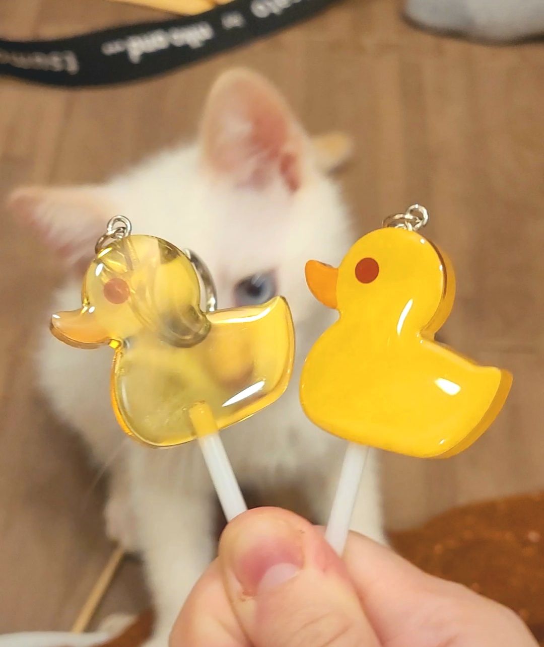 🦆鴨子棒棒糖吊飾🦆