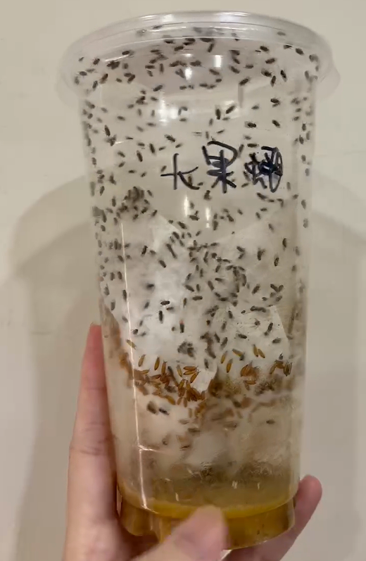 大果蠅杯