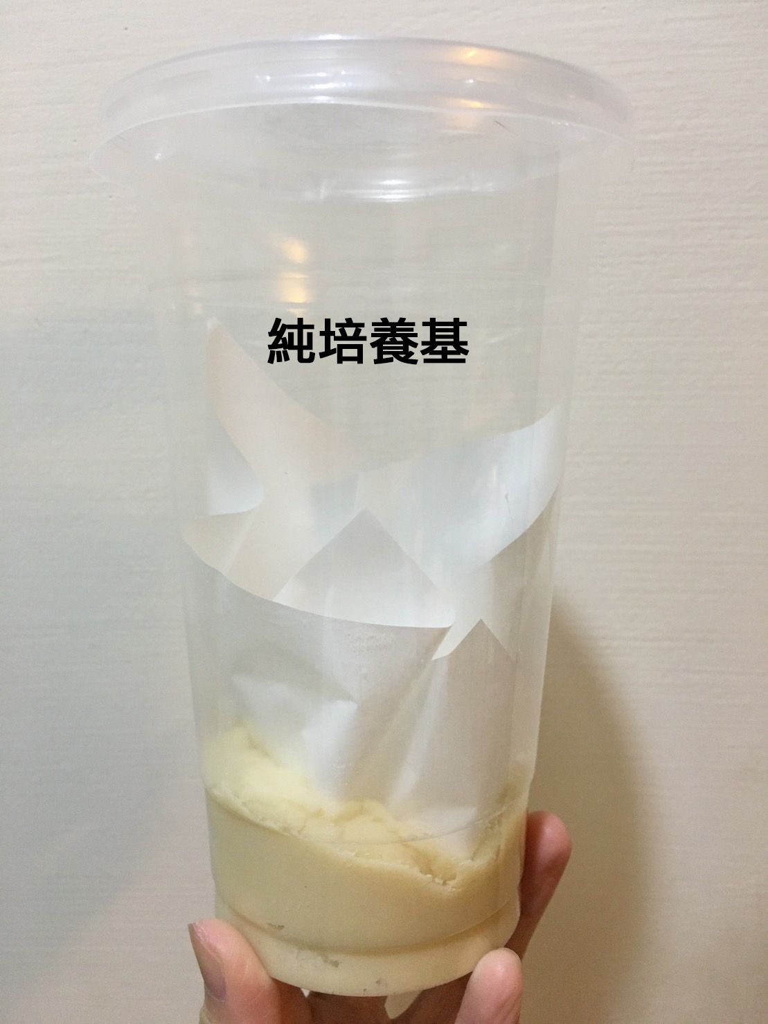 純果蠅培養基 （封面圖片為700ml），可免費幫入種果蠅
