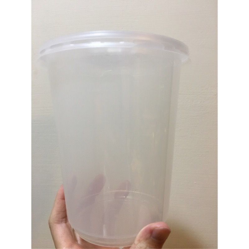1000ml 700ml 500ml pp 塑膠杯 飲料杯 胖胖杯 飼養杯 飼養盒 螳螂 跳蛛 角蛙 蠟蟲