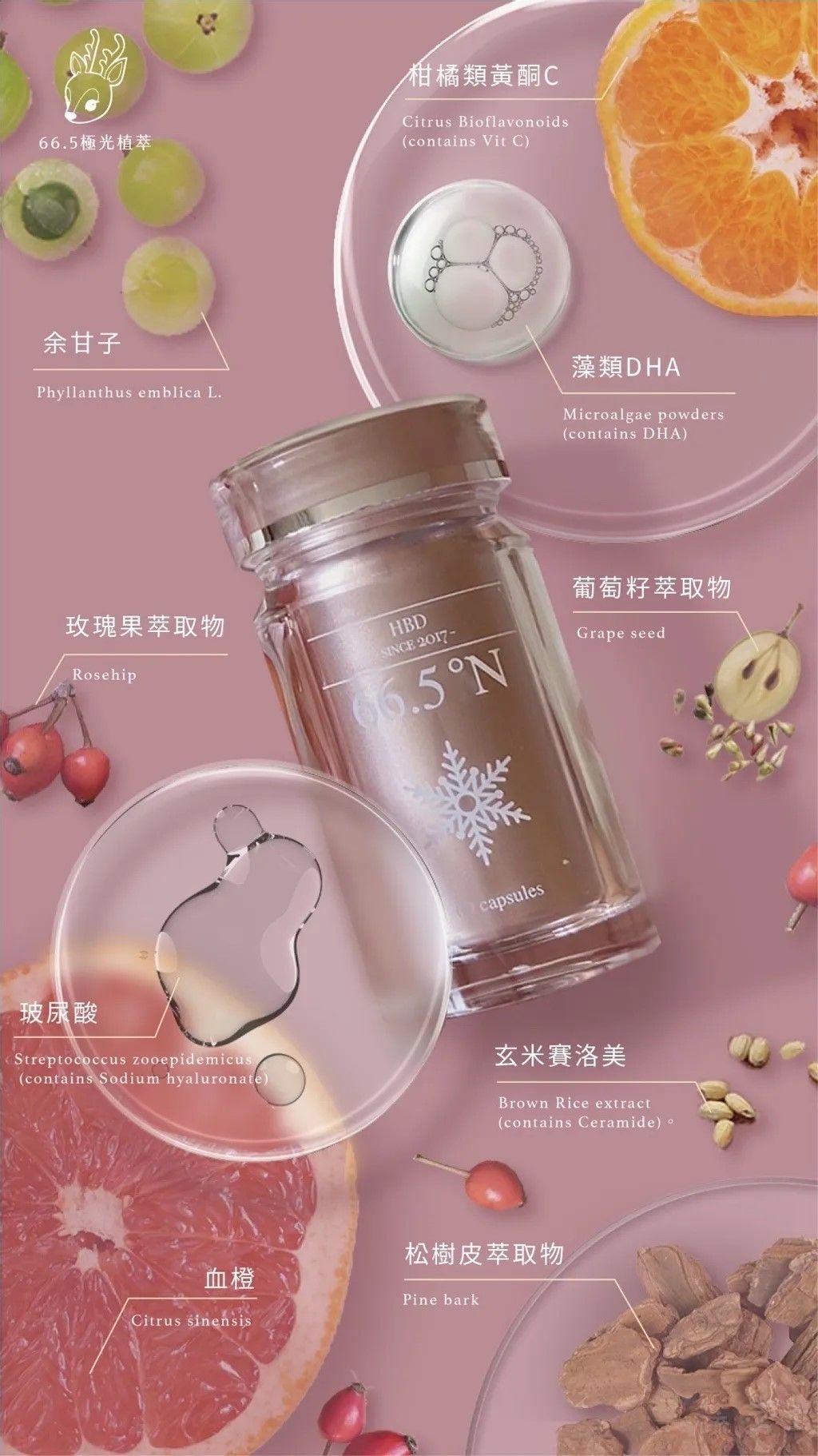 火速出貨🌙66.5°N 極光植萃🌹波波黛莉🌸柯夢波丹推薦 ｜66.5極光｜養髮｜美膚｜舒眠