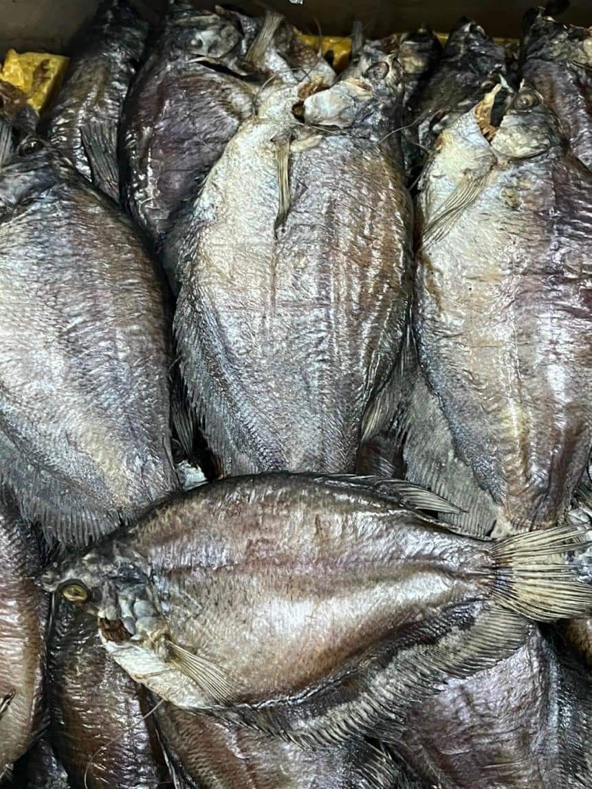 👑古拉米魚乾 Khô Cá sặc bổi/新品上市/海味乾貨🔥料理用（非零食）🈵️重量1公斤🈵️