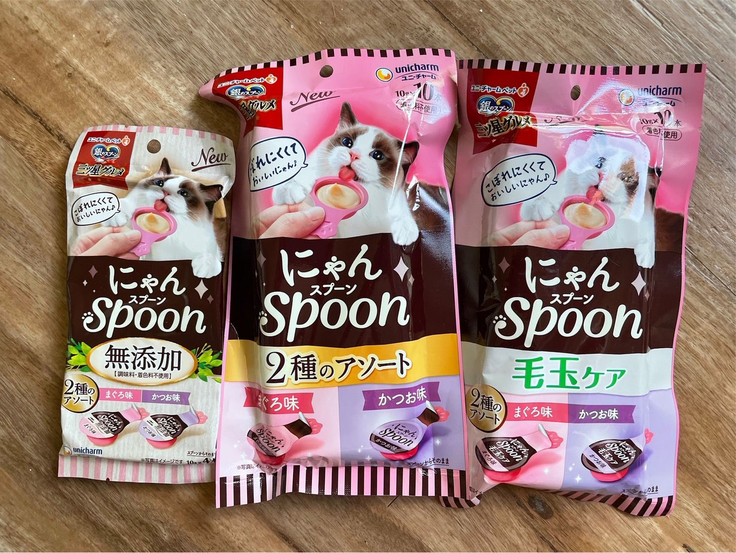 2023/9月日本寵物店