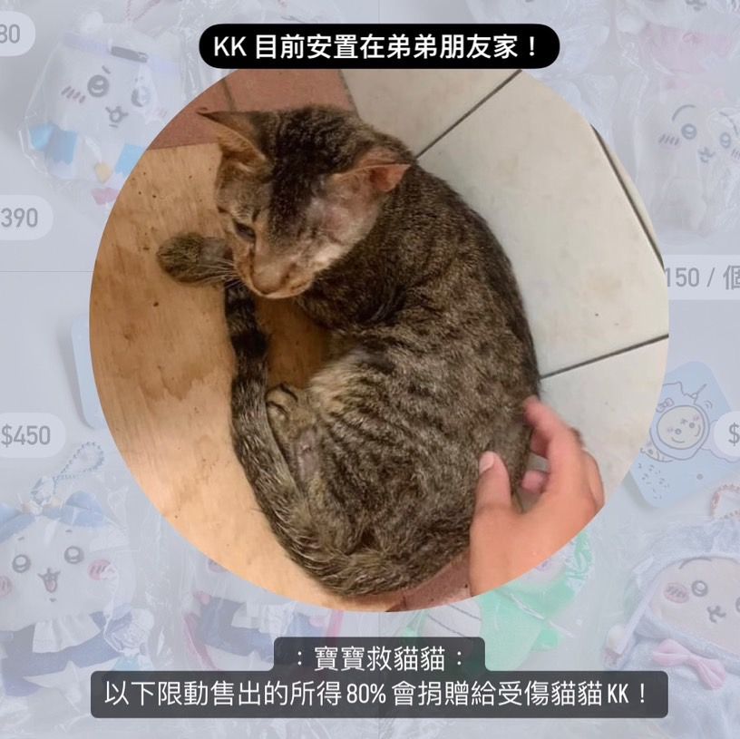 202407｜受傷貓貓KK義賣募款