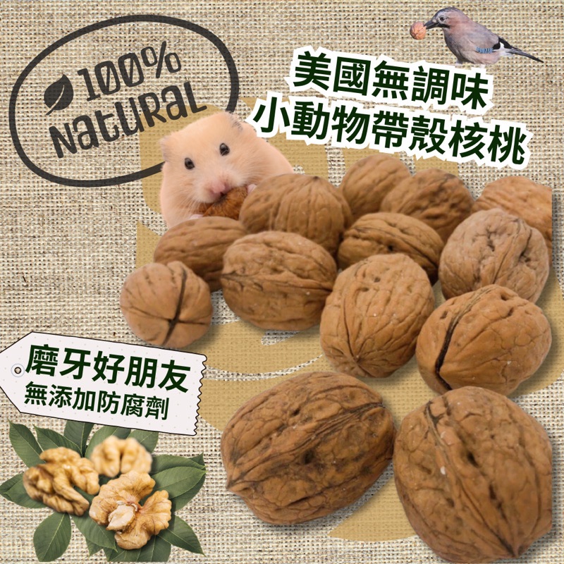 美國🇺🇸無調味小動物帶殼核桃 倉鼠核桃
