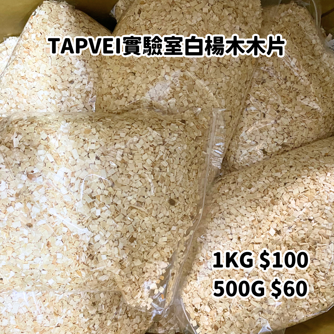 TAPVEI實驗室白楊木木片