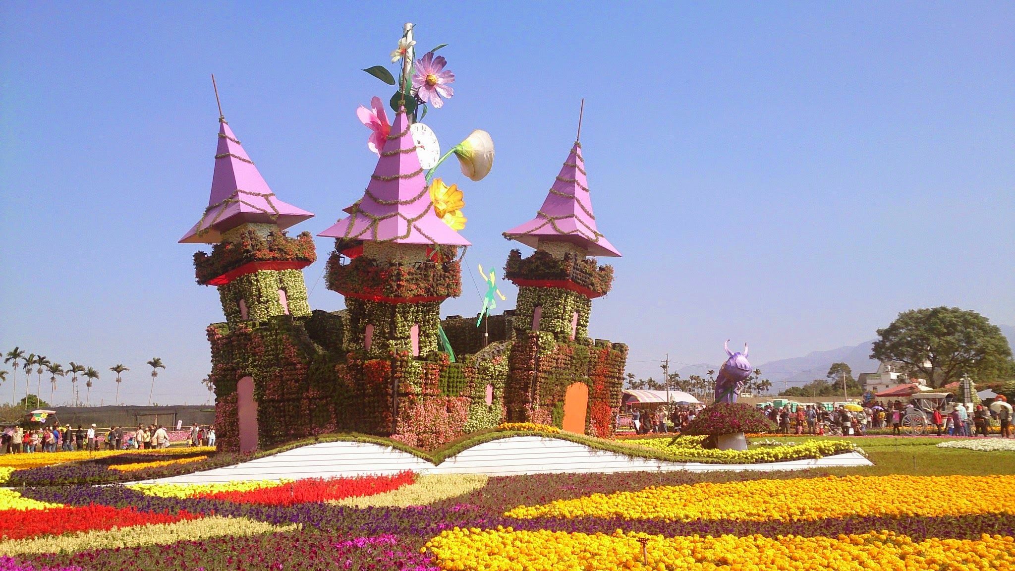 台灣香菇專業種植-滿仟就免運哦!!