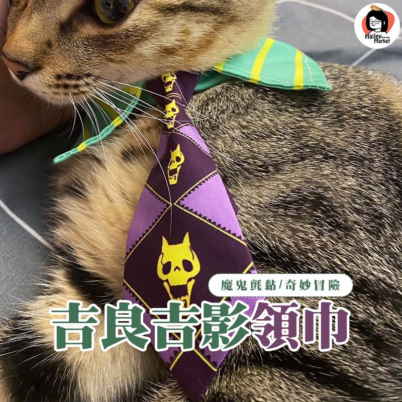 預購🫰吉良吉影領巾-JOJO的奇妙冒險 適合6個月以上的貓貓 建議可以看一下尺寸唷😀
