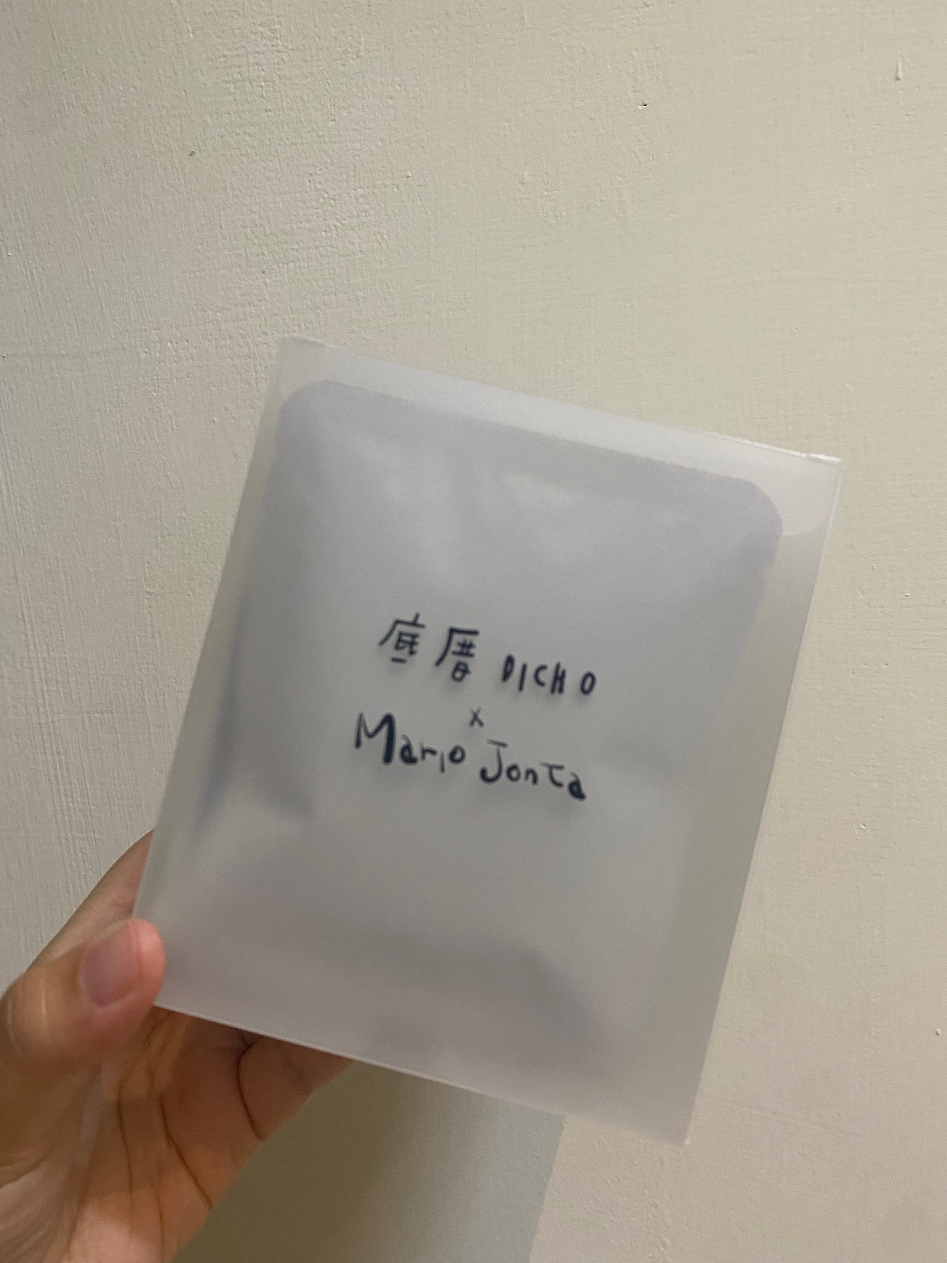 獅王 咖啡濾掛 10入
