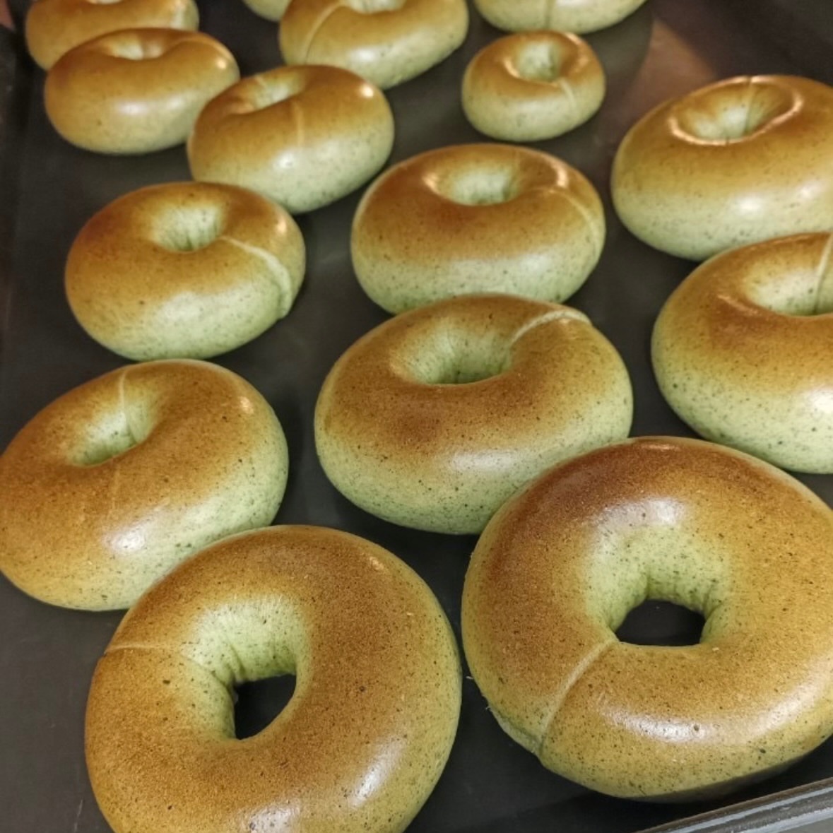 梨山高冷茶（奶素）