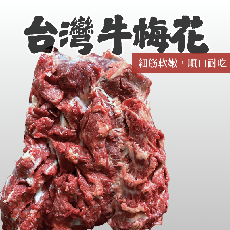 台灣牛梅花