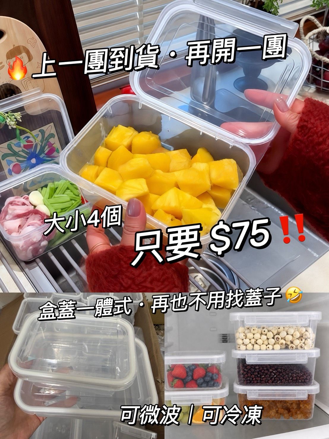 一體式單扣保鮮盒 ✨現貨✨