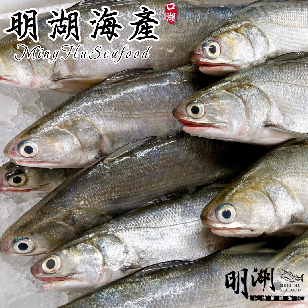 午仔魚