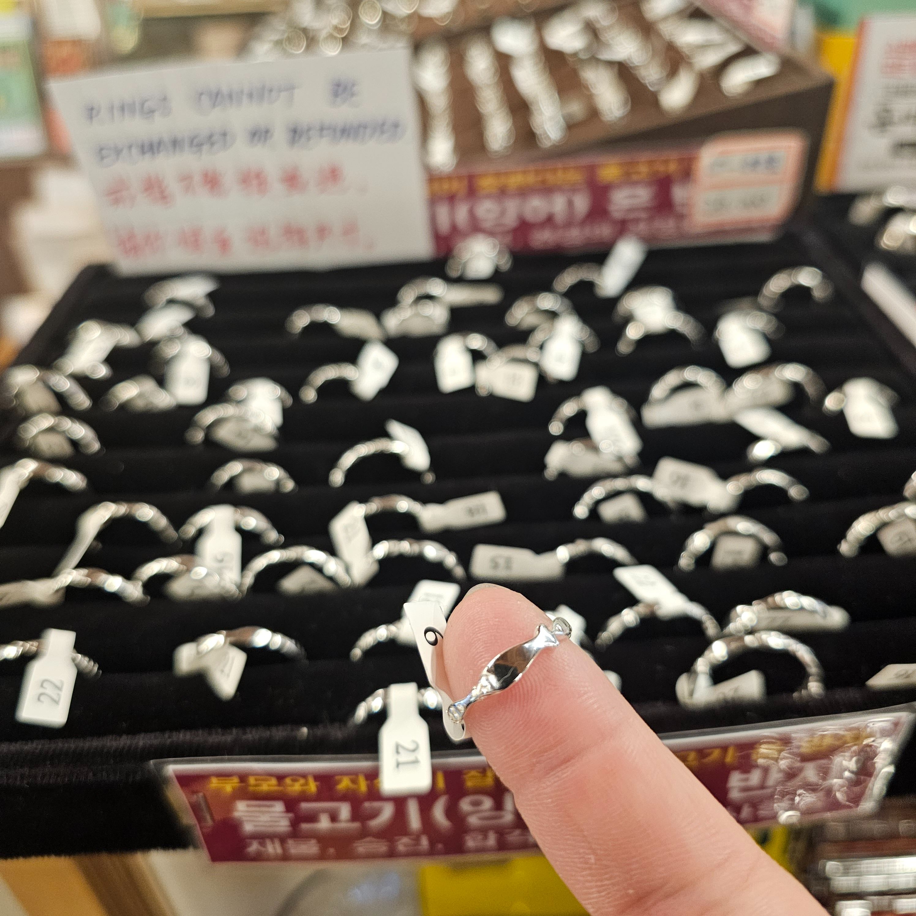 [FH] 奉恩寺人生小魚戒指