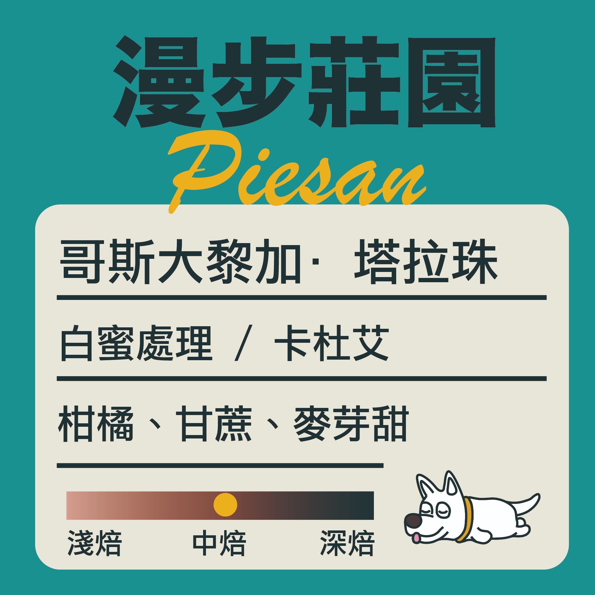 哥斯大黎加-漫步莊園 白蜜處理 “中焙”