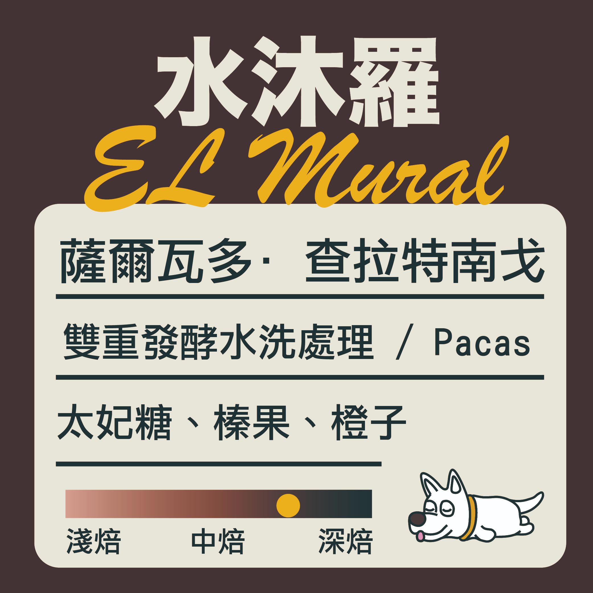 薩爾瓦多-水沐羅 水洗處理 “中深焙”