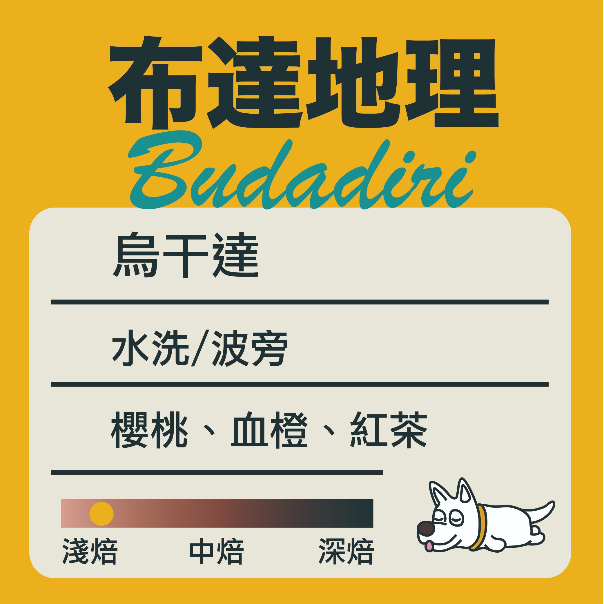 烏干達-布達地理 水洗處理 “淺焙”