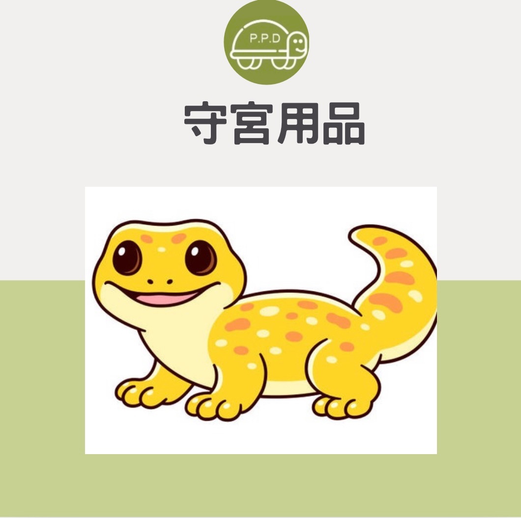 守宮專區