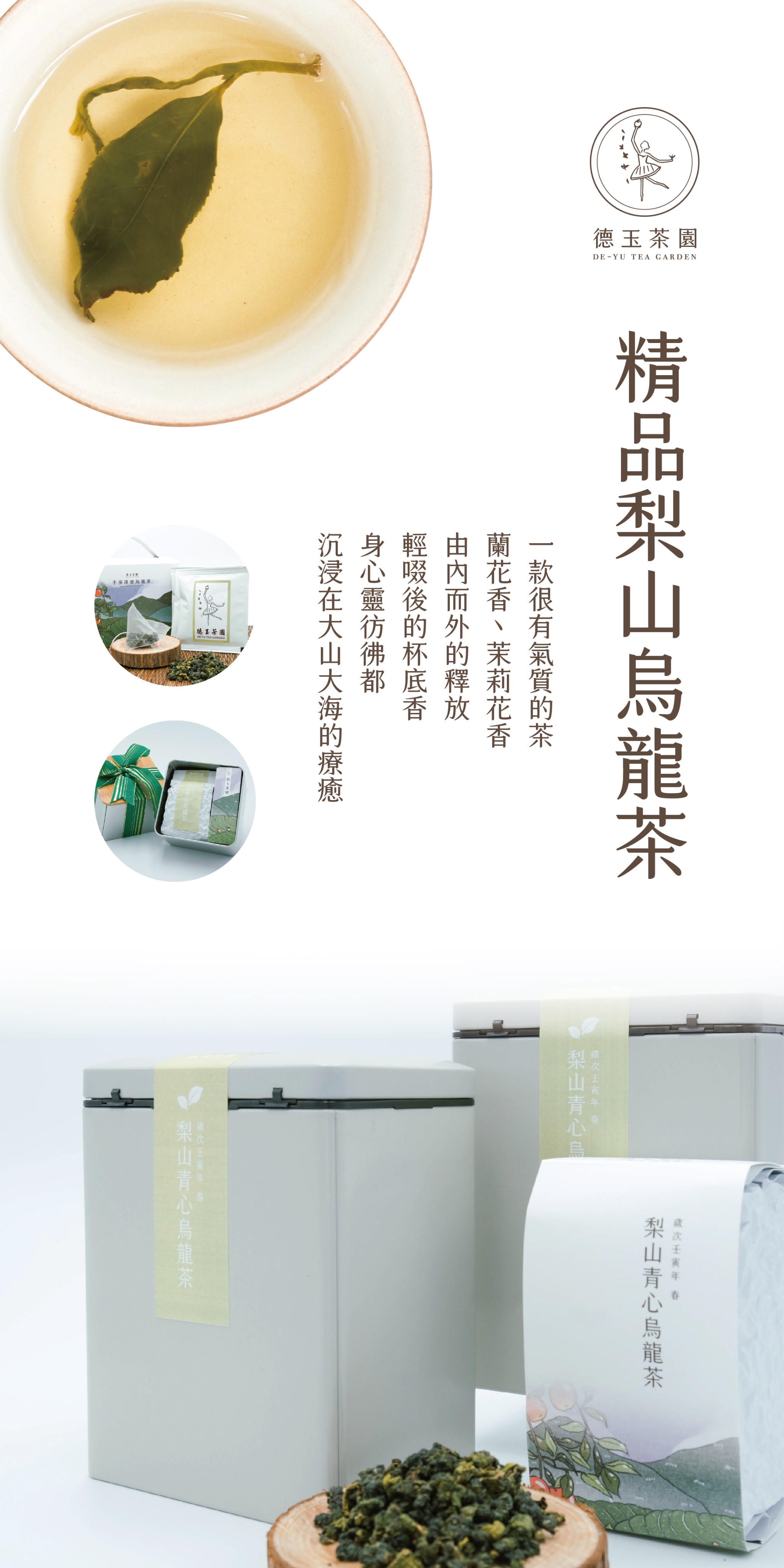 梨山青心烏龍茶6年茶樹冬季