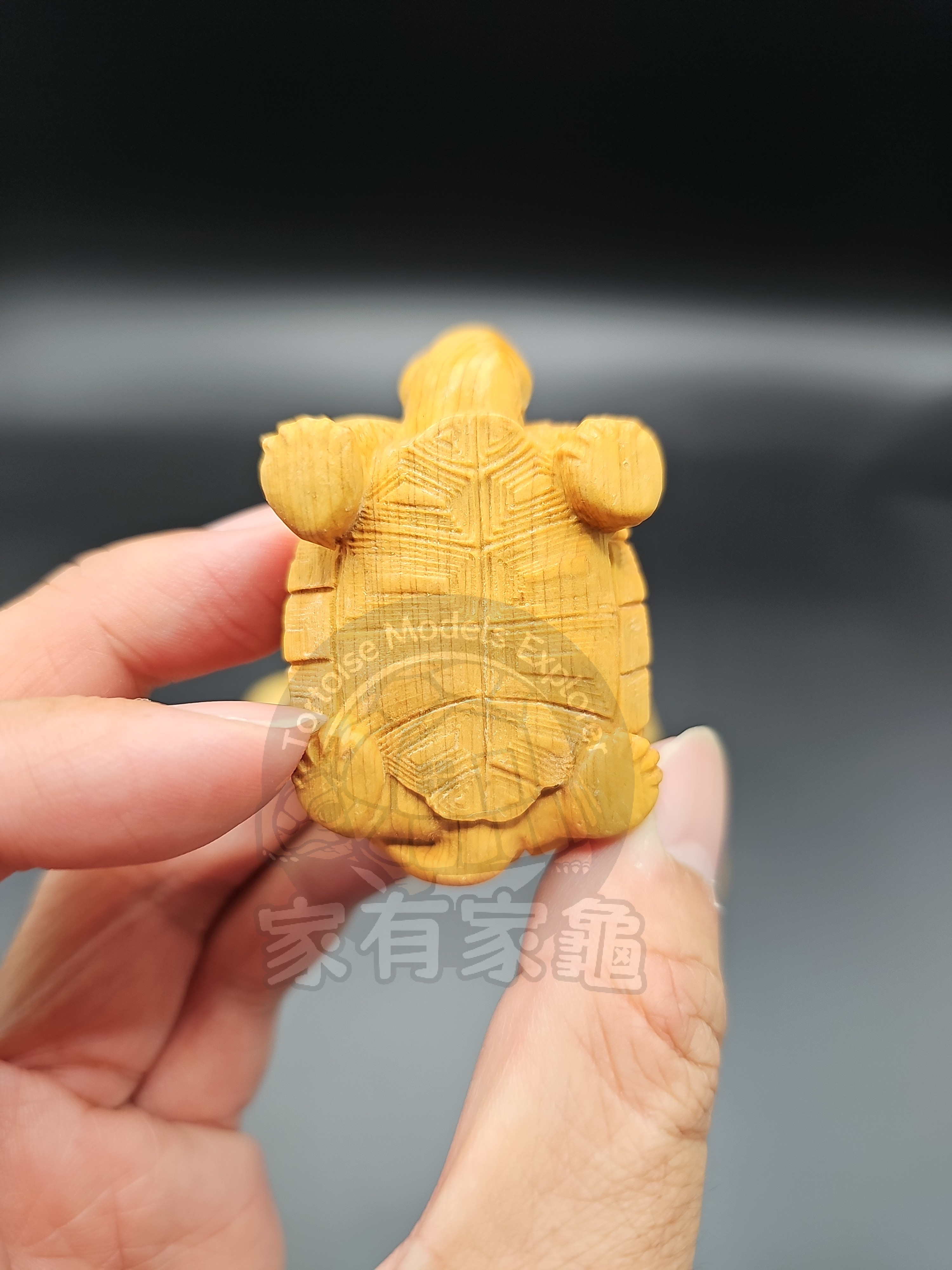 崖柏木 木雕 陸龜 淡淡香味 擺飾 模型