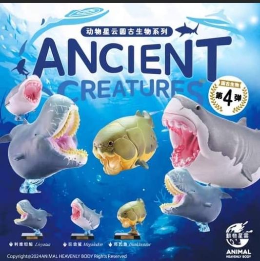 動物星球 動物星雲 圓古生物 第四彈 鄧氏魚 利維坦鯨 巨齒鯊 生日禮物 古代魚