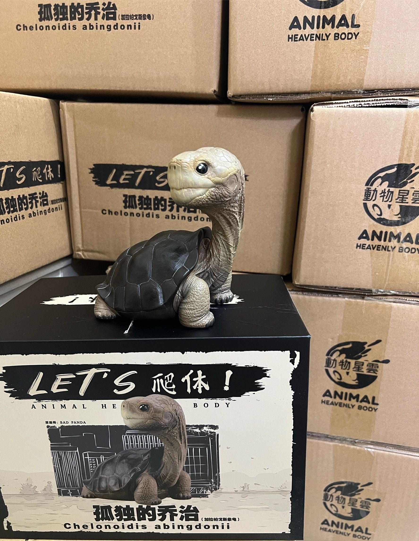 動物星球 孤獨喬治plus