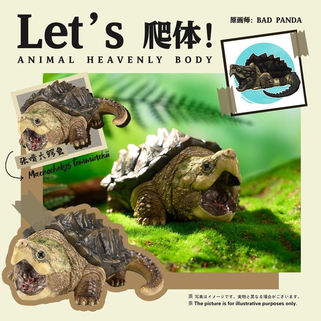 Lets爬體 張嘴大鱷