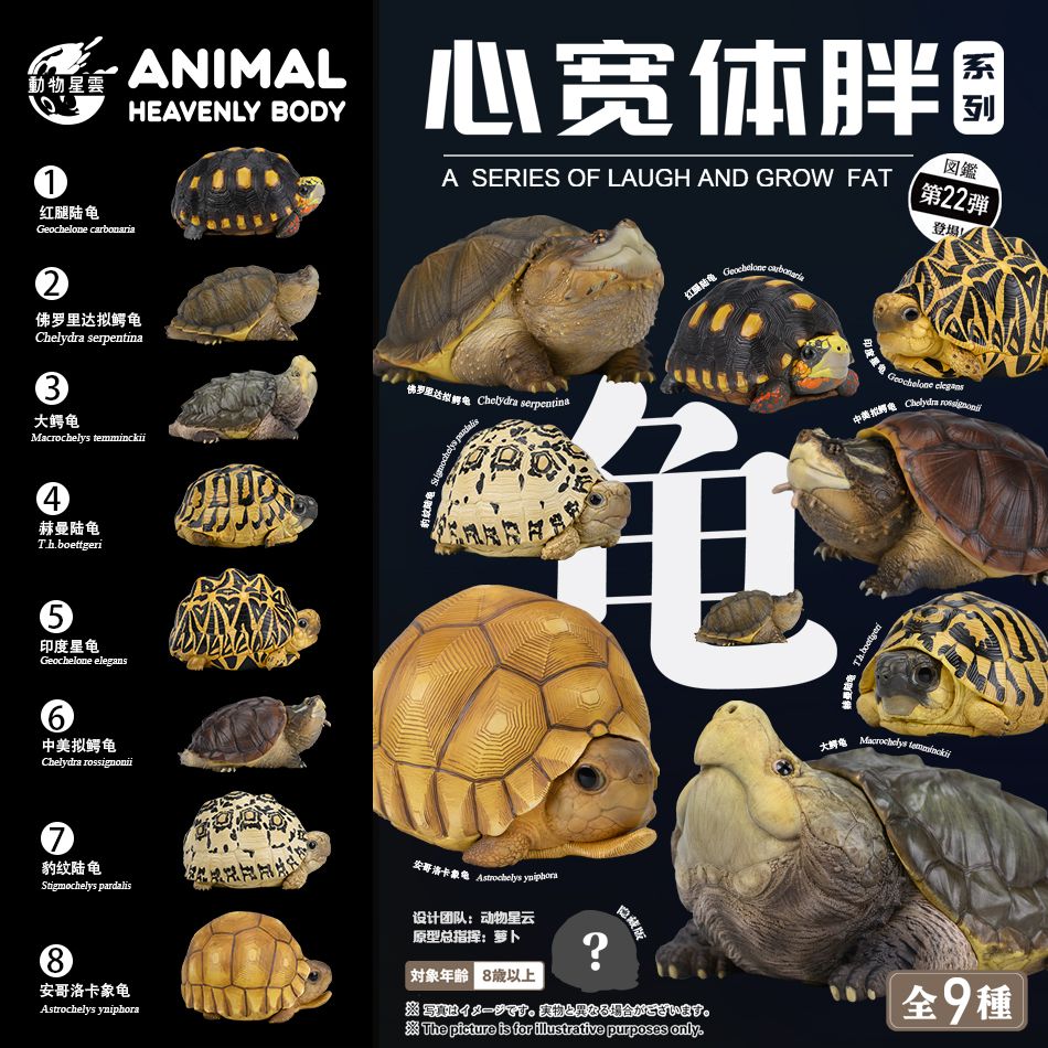 （現貨）動物星球 心寬體胖 動物星雲 第22彈 陸龜 紅腿 大鱷龜 赫曼 星龜 鱷龜 豹龜 安哥