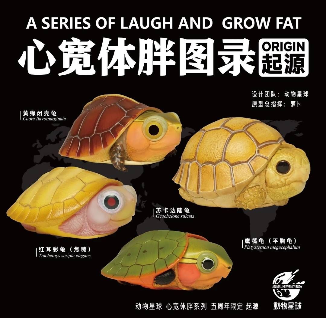 動物星球 心寬體胖 幼龜系列 模型手辦 爬蟲模型 已絕版 現貨不多