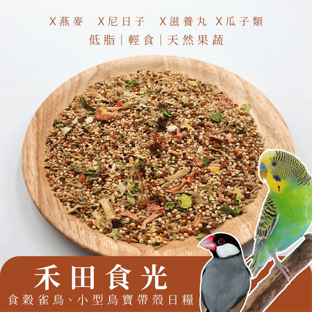 小型及雀鳥日糧｜禾田時光