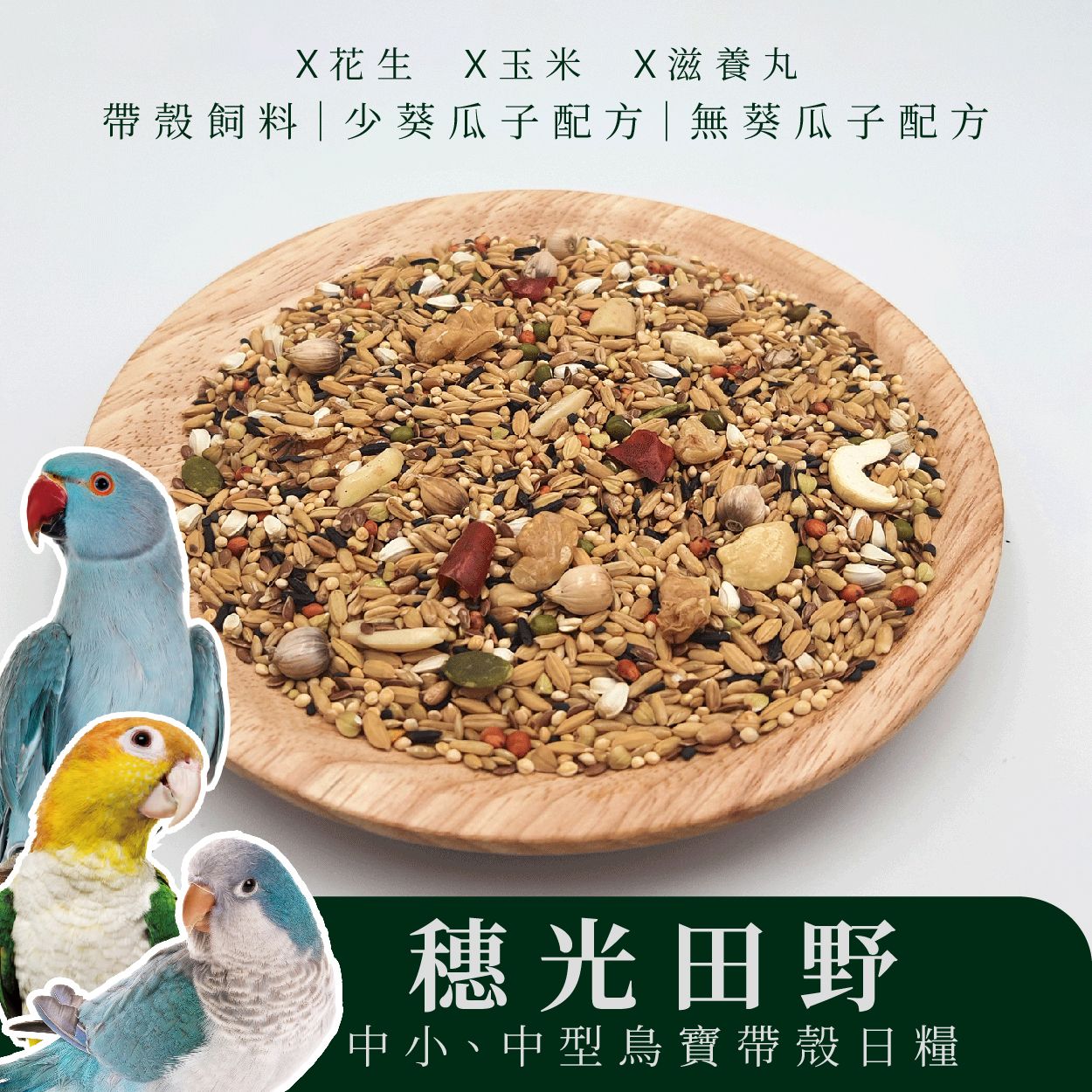 中型穀物糧｜穗光田野