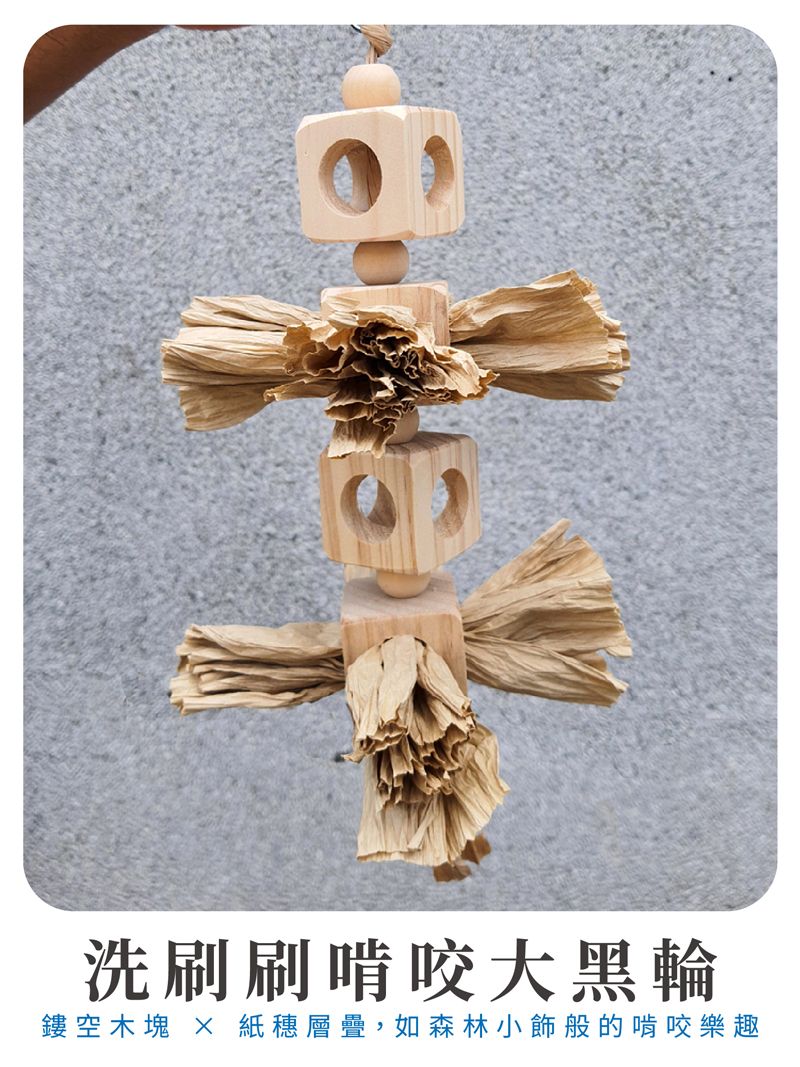 洗刷刷啃咬大黑輪