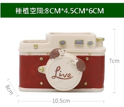 相機/收音機 造型多肉花盆 個性盆器 辦公室綠植品味首選