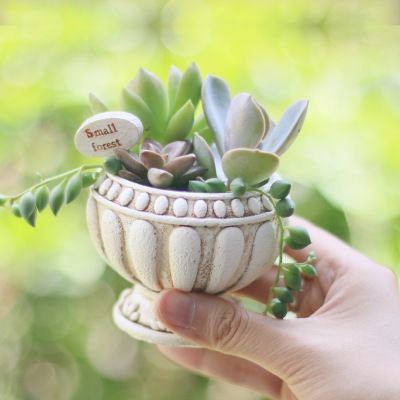 💛店長推薦💛迷你多肉植物盆器鄉村風宮廷風~紓壓熱門款💛禮品造型送禮首選
