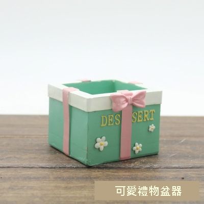迷你多肉植物盆器~可愛禮物盒造型盆💛熱門款禮品造型送禮首選