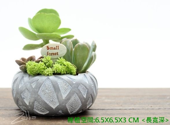 鳥巢造型💛迷你多肉植物盆器💛紓壓熱門款💛禮品造型送禮首選