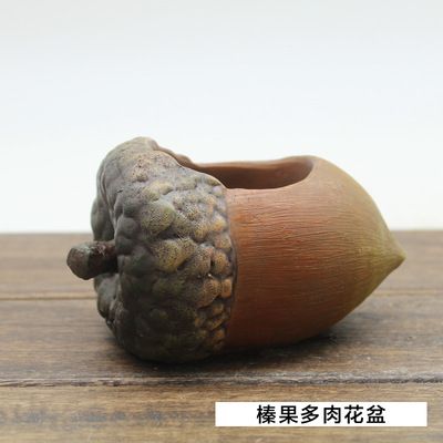 榛果迷你多肉植物盆器💛造型款最推薦💛送禮首選