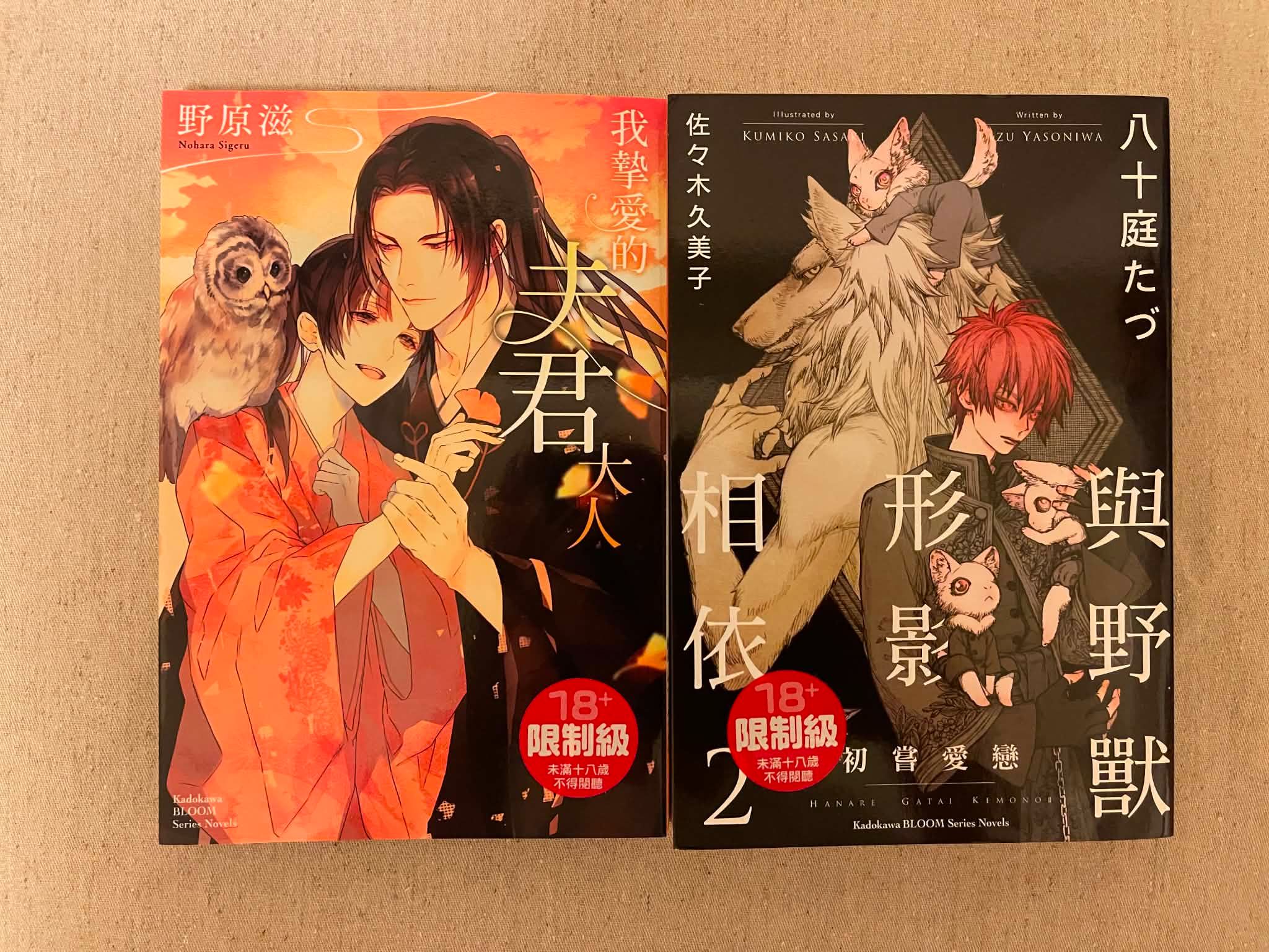中文BL小說