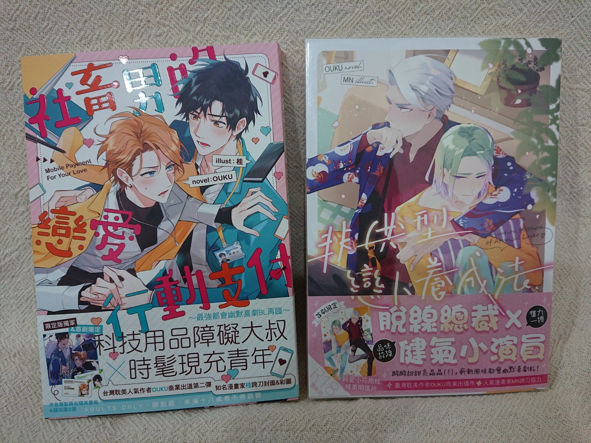 BL小說