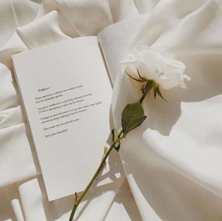 Gift - 滿額贈品挑選區