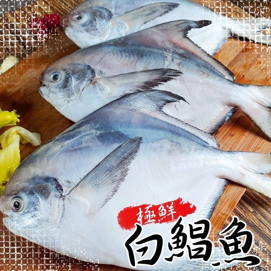白鯧魚（300g-400g/尾）