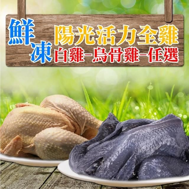 國產紅羽土雞烏骨雞全雞（900g~1000g/隻）
