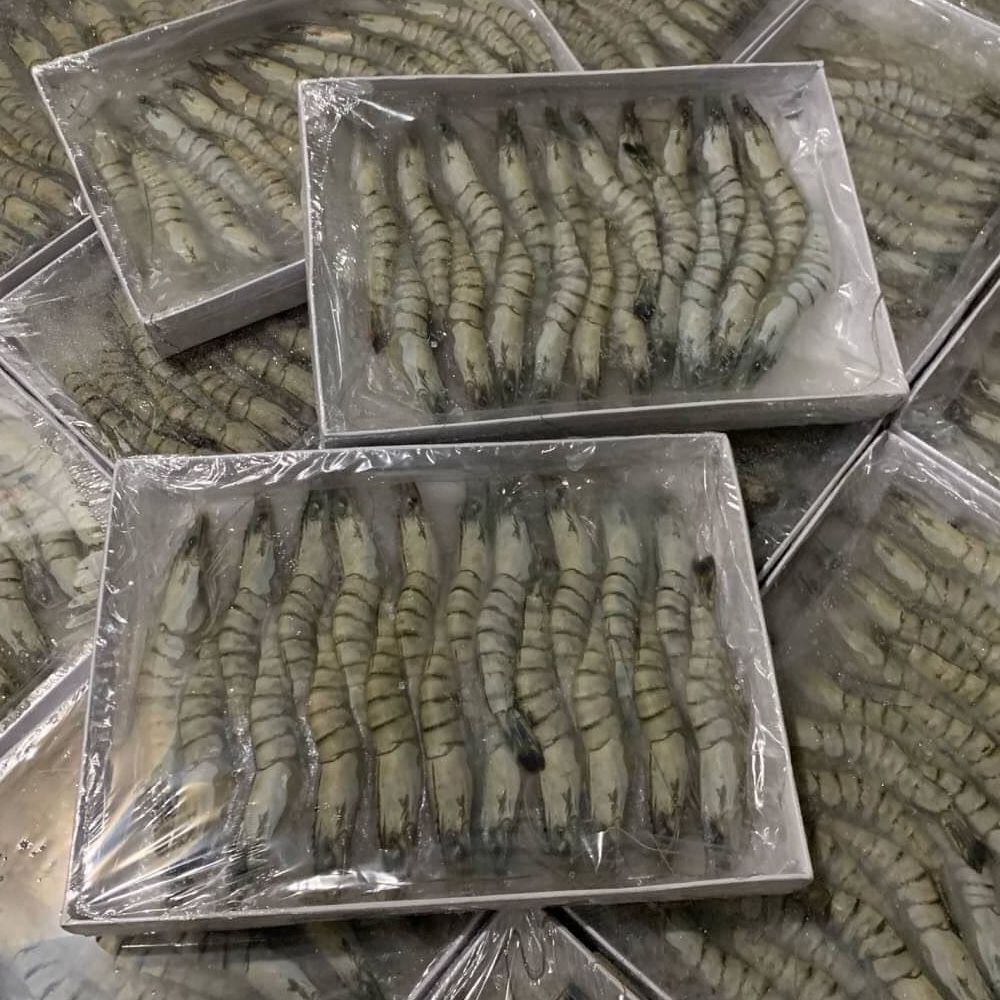 南洋草蝦20尾（20尾/220g/盒）（20P）