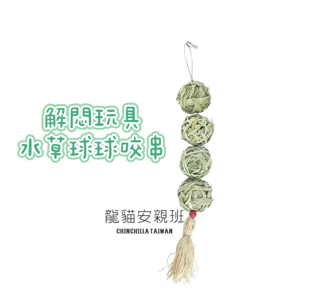 🏡龍貓安親班🏡［台灣現貨］水草球咬串玩具 解悶玩具 龍貓 鼠兔 鸚鵡 寵物磨牙玩具 高雄實體店